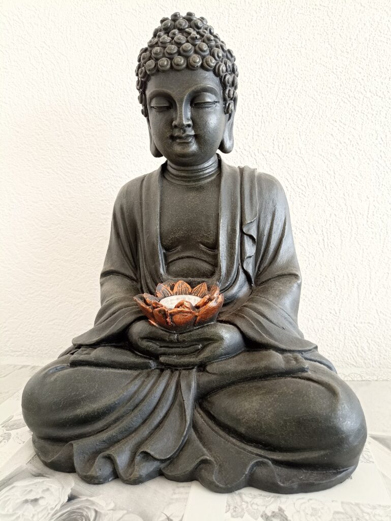 Bouddha, bouddha assis, bouddha fleur de lotus, naturopathe, 