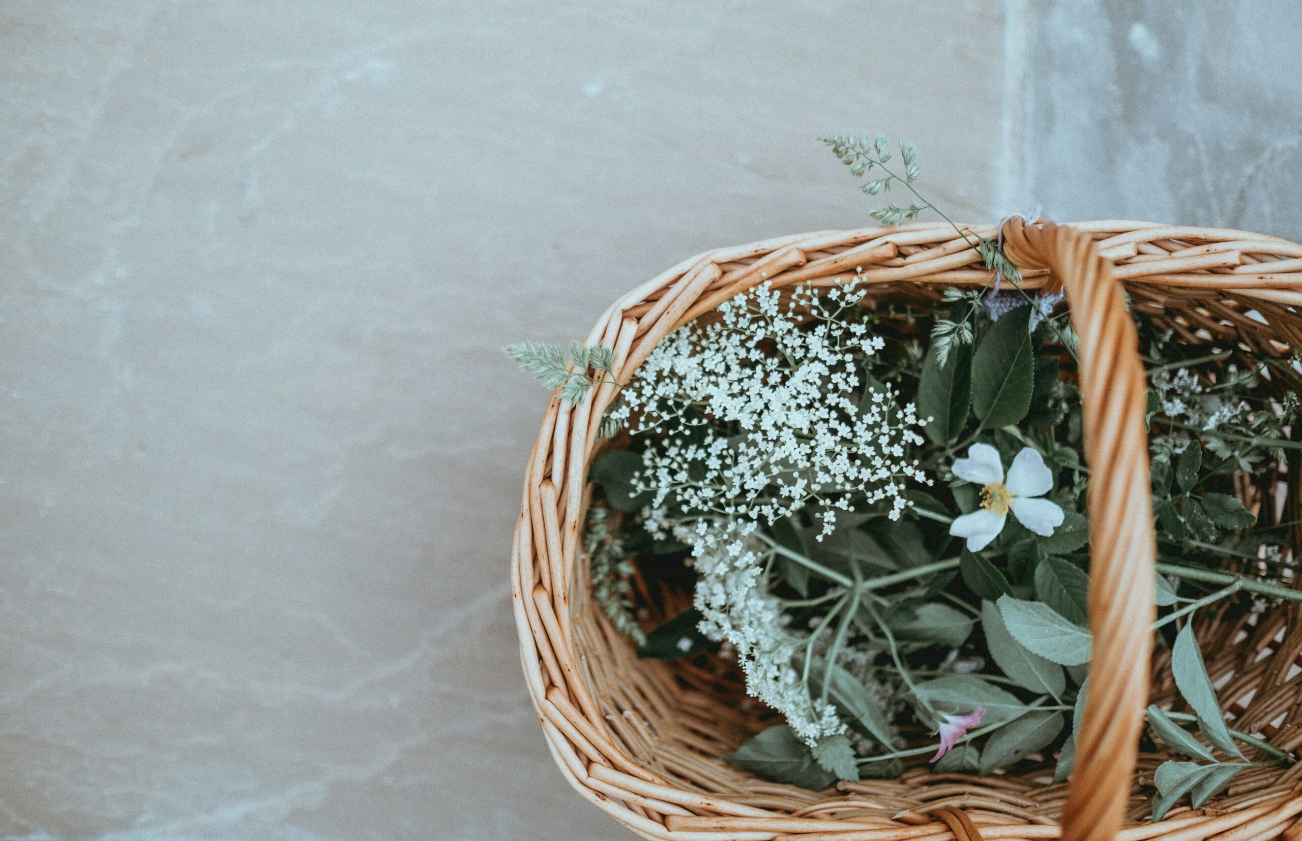 Bien-être, plantes, équilibre, santé naturelle, holistique, remèdes, vitalité, prévention, détox, énergie.